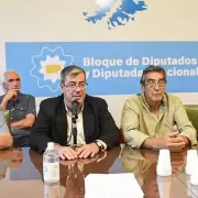 Unin por la Patria se prepara para las sesiones extraordinarias: "Nuestra prioridad es rechazar el DNU"