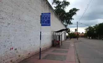 paradas vacas colectivos jujuy