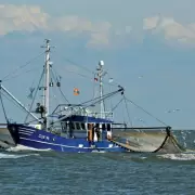 Los gobernadores patagnicos rechazaron las reformas de Milei a la actividad pesquera porque entrega el mar a extranjeros