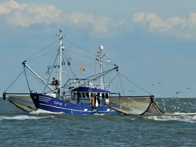 industria pesquera