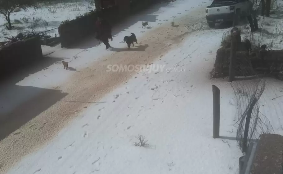 Luuvia y granizo en Rodero - Jujuy