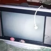 Rob� un televisor y fue detenido mientras lo transportaba por la v�a p�blica