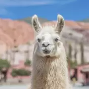 Vacaciones en Jujuy: aseguran que la Quebrada de Humahuaca es uno de los destinos favoritos