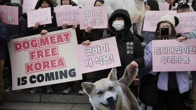 Corea del Sur proh�be la venta de perros para el consumo de su carne