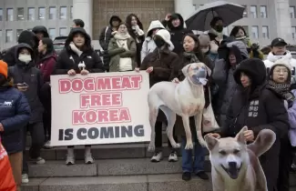 Corea del Sur proh�be la venta de perros para el consumo de su carne