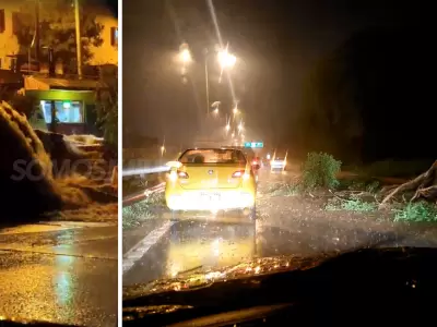 Temporal