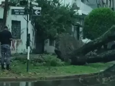 Un rbol cay sobre una casa en Formosa