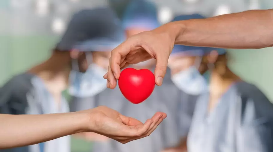 Donacion de órganos - queda bien en vertical