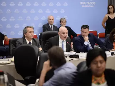 diputados comisi�n