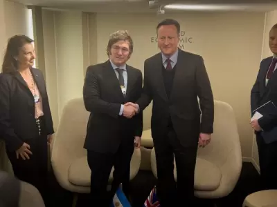 Javier Milei y David Cameron