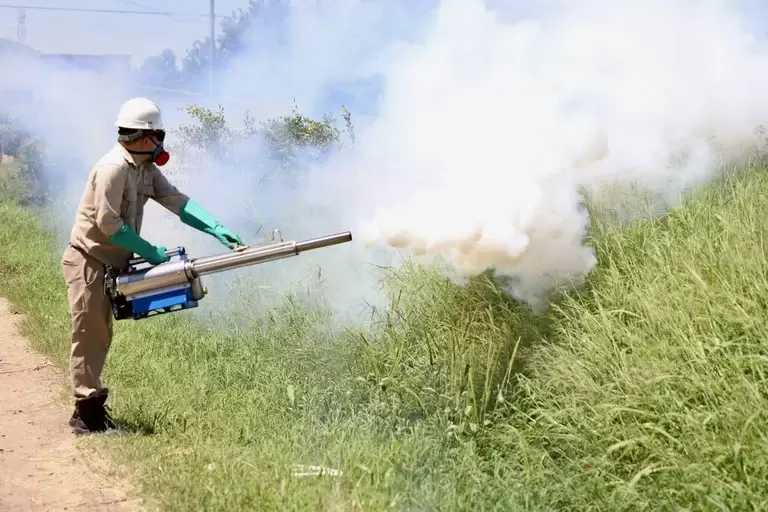 fumigación