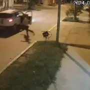 Se tiró de una camioneta en movimiento para esconderse de la policía y funcionó: mirá el video