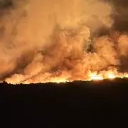 El incendio forestal en el Parque Nacional Los Alerces ya arras 577 hectreas