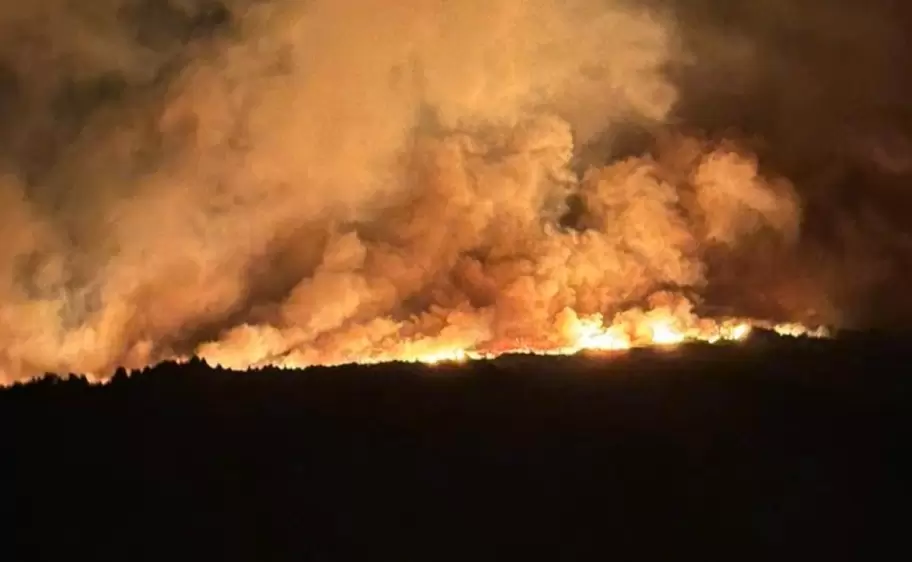 Incendio forestal en el Parque Nacional Los Alerces en Chubut