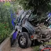 Dos delincuentes murieron tras robar una camioneta y estrellarse contra un árbol