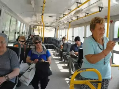 Colectivo - transporte - adultos mayores