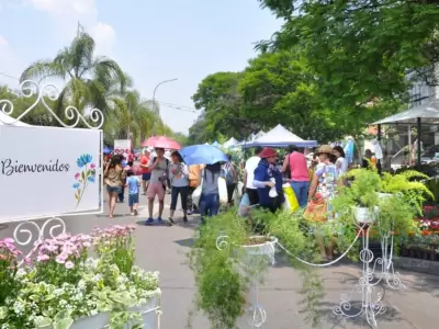 Feria de las plantas de San Salvador de Jujuy