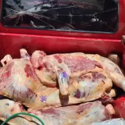El Piquete: secuestraron carne vacuna faeneada que era trasladada en una camioneta