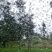 Lluvias y descenso de temperatura: as� estar� el clima en Jujuy durante la jornada electoral del domingo