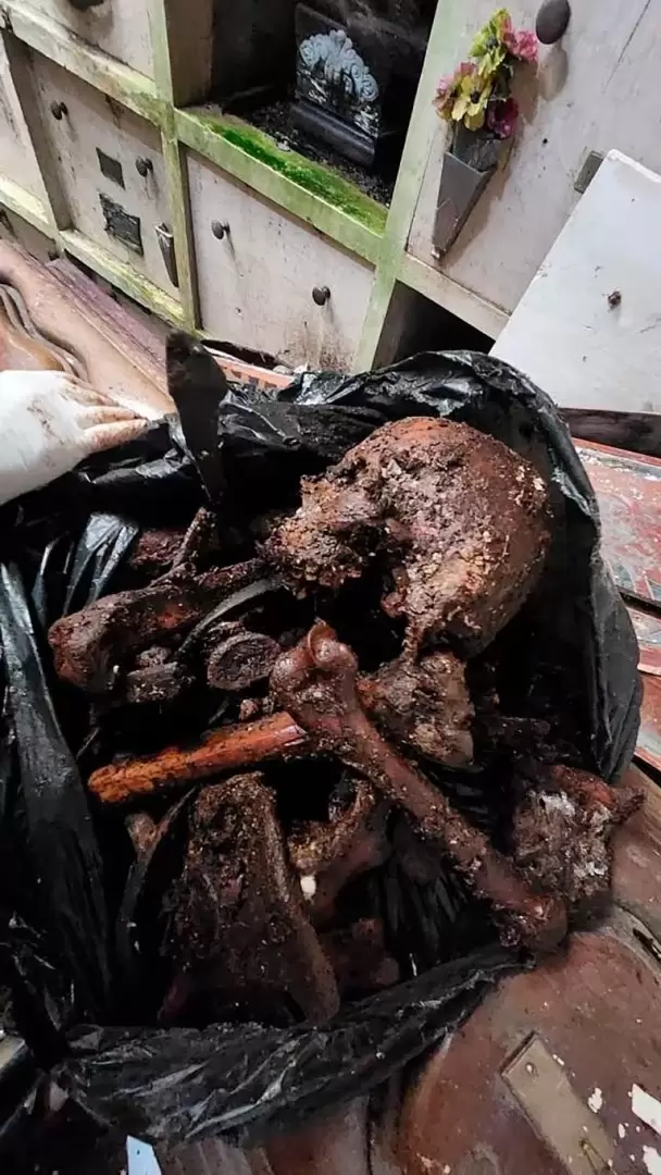 ataud restos humanos