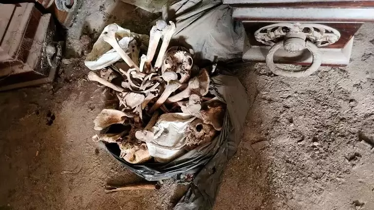 ataud restos humanos