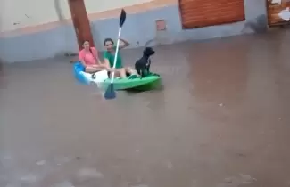 Perico: pasearon el perro en kayak
