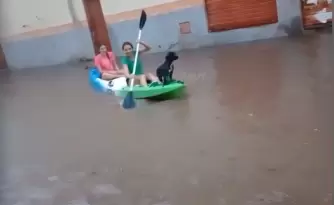Perico: pasearon el perro en kayak
