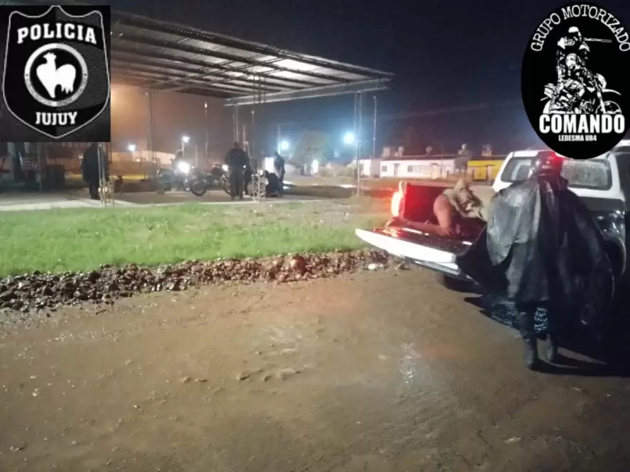 ladrones calilegua