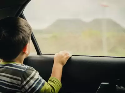 nio nene dentro de un auto