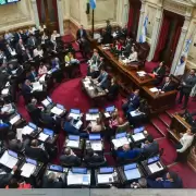 Rechazo al DNU de Javier Milei: cmo votaron los senadores por Jujuy