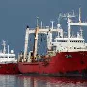 Renunci el director de Pesca y denunci presiones para que ignorara actividad ilegal china en el Mar Argentino