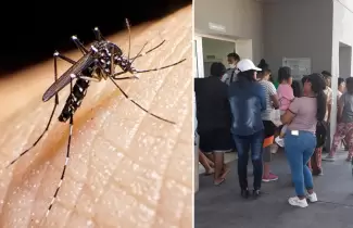 dengue perico