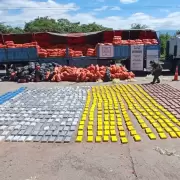 Secuestraron ms de 860 kilos de cocana ocultos entre zapallos: hubo allanamientos en Jujuy