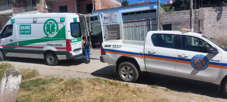 Jujuy: una joven sufri la picadura de una araa y tuvo que ser trasladada al hospital Pablo Soria