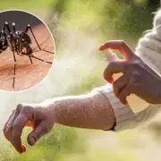 Critas distribuir repelentes para prevenir el dengue a comedores y merenderos de Jujuy
