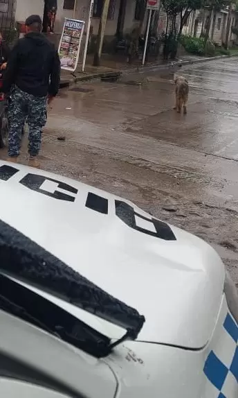 Detenido en barrio Belgrano