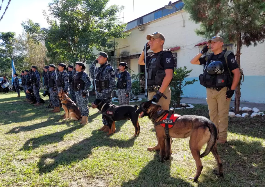 perros policia unidad k9
