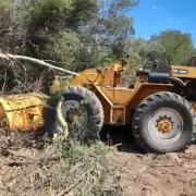 Secuestraron un tractor con el que desmontaban un rea de conservacin en Caimancito