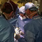 Muri el paciente que recibi el primer trasplante de rin de cerdo genticamente modificado