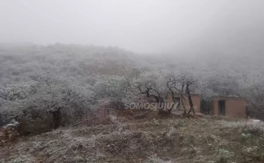 Nev en El Durazno