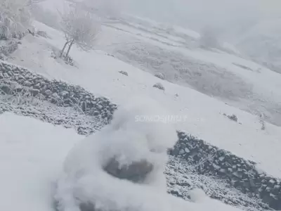 Nieve en Abramayo