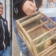 Atraparon y sancionaron a un hombre que ofreca a la venta aves silvestres en Libertador