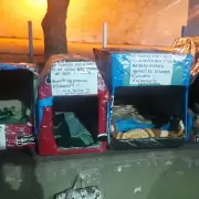 Un grupo de voluntarios confecciona cuchas para perros en situacin de calle en la capital jujea