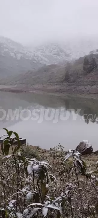 nieve para nota