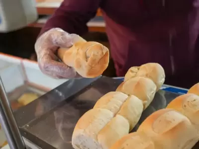 pan panaderia