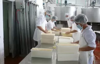 Trabajadores de la industria lechera en Argentina
