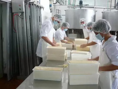 Trabajadores de la industria lechera en Argentina