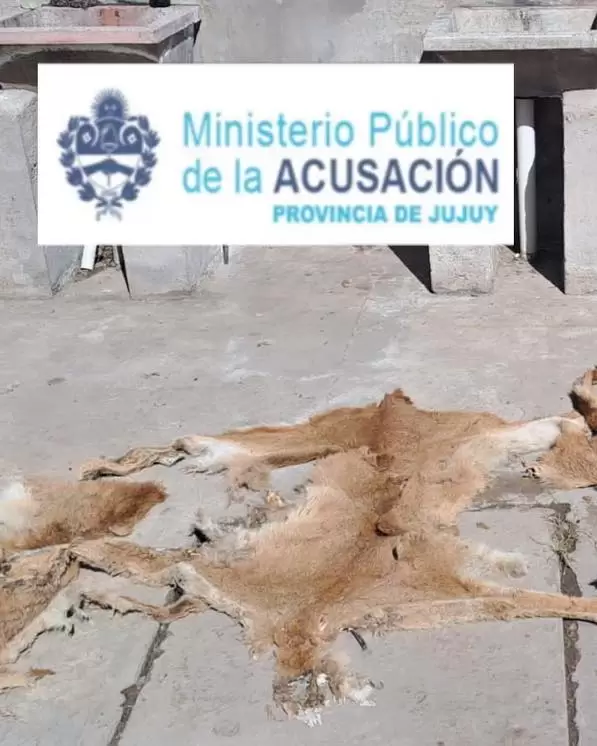 Allanamiento y detencin por hechos de crueldad animal en El Carmen