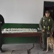 Gendarmera secuestr ms de 31 kilos de cocana y un kilo de marihuana en el ramal jujeo