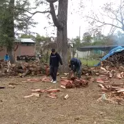 Alumnos de la Agrotcnica de "El Brete" venden lea para construir su carruaje